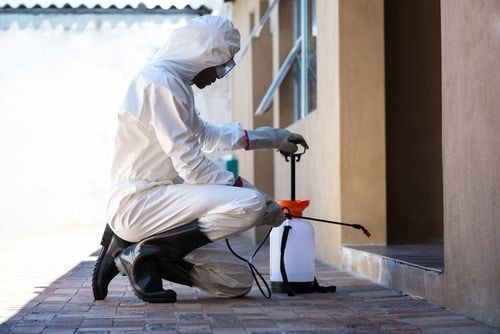 Beneficios-de-fumigar-tu-hogar